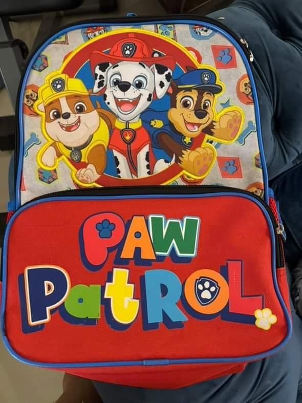 THE CHILDREN'S PLACE Paw Patrol (14 inch) Kids Backpack