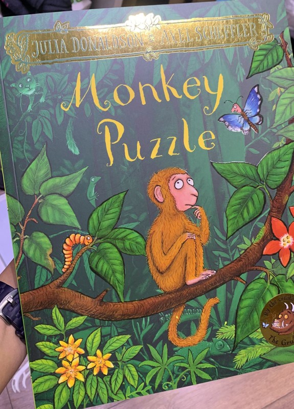 Monkey puzzle  Book