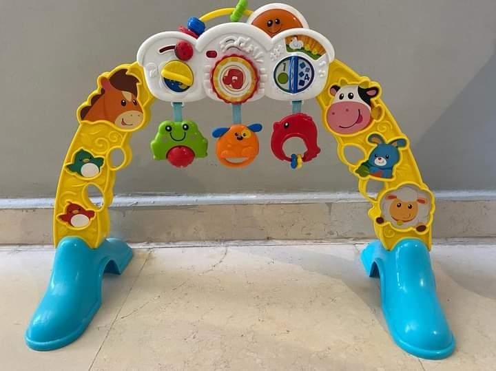 winfun Grow-With-Me Melody Activity Gym